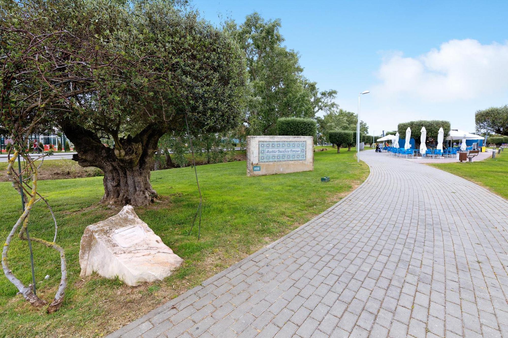 Little Paradise 25 Min From Lisbon อาเซย์เตา ภายนอก รูปภาพ